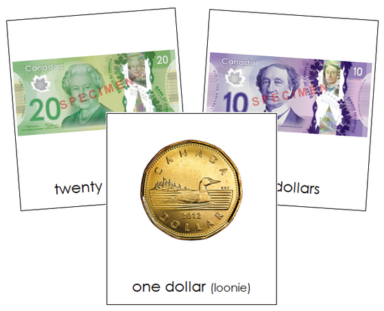 Canadian Currency Cards - Montessori Print Shop