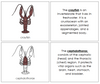 Crayfish Nomenclature - Book