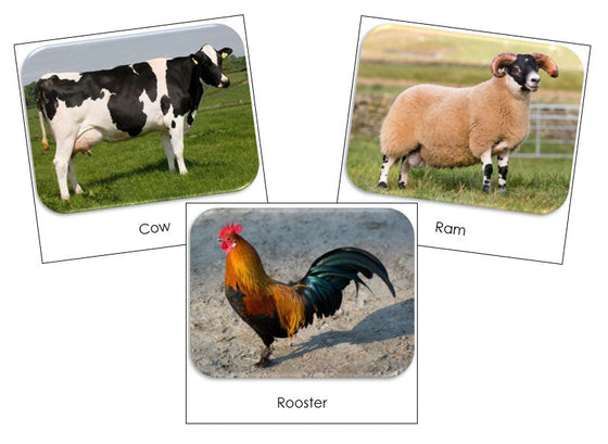 Farm Safari Toob Cards - Montessori Print Shop