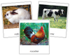 Farm Animal 3-Part Cards - Montessori Print Shop