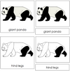 Giant Panda Nomenclature 3-Part Cards - Montessori Print Shop