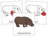 Hippopotamus Nomenclature Cards (red) - Montessori Print Shop