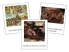 Michelangelo Art Cards - montessori art cards