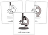 Microscope Nomenclature Cards - Montessori Print Shop