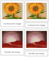 Georgia O'Keeffe Art Cards - Montessori Print Shop