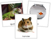 Pets Set 1 3-Part Cards - Montessori Print Shop