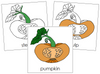 Pumpkin Nomenclature Cards - Montessori Print Shop