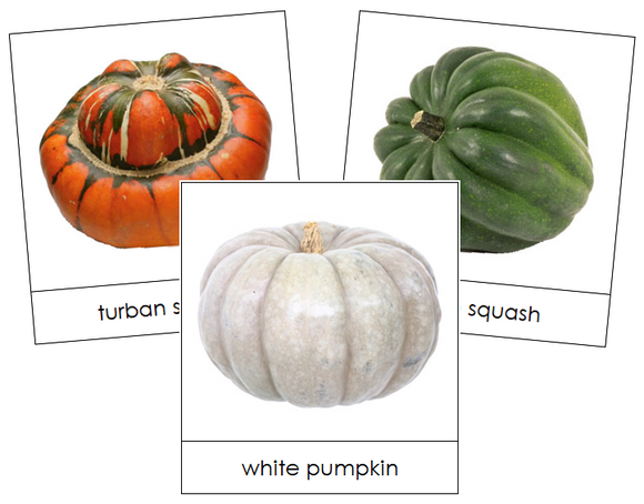 Pumpkin & Squash Picture Cards - Montessori Print Shop