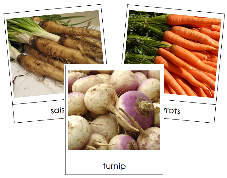 Root Vegetable Picture Cards - Montessori Print Shop