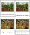 Henri Rousseau Art Cards - Montessori Print Shop