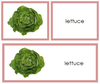 Vegetable Words & Picture Cards