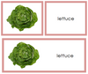 Vegetable Words & Picture Cards - Montessori Print Shop